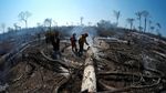 Kebakaran Hebat di Hutan Amazon Menjalar Hingga Bolivia