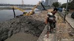Begini Kondisi Waduk Pluit yang Alami Pendangkalan
