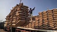 Semen produksi nasional saat ini harus bersaing dengan semen import, salah satunya yakni dari China.