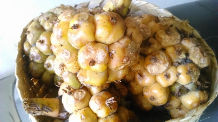 Foto: istimewa