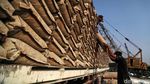 Melihat Aktivitas Bongkar Muat Semen di Pelabuhan Sunda Kelapa
