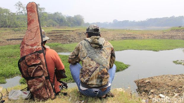 Asyiknya Berburu Ikan Gabus dengan Senapan Paser di Sungai Citarum