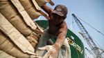 Melihat Aktivitas Bongkar Muat Semen di Pelabuhan Sunda Kelapa