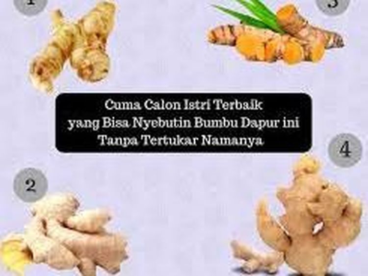10 Meme Kocak Soal Bumbu Dapur Ini Bikin Ngakak