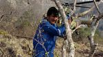 Kebakaran Hebat di Hutan Amazon Menjalar Hingga Bolivia