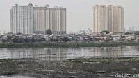Dengan melakukan pengerukan hingga tingkat low water level ini diharapkan Waduk Pluit dalam kondisi siap menampung air ketika hujan datang ataupun kiriman aliran sungai dari hulu.