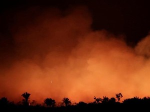 Deforestasi Disebut Jadi Penyebab Utama Kebakaran Hutan Amazon