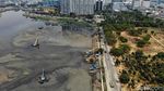 Begini Kondisi Waduk Pluit yang Alami Pendangkalan