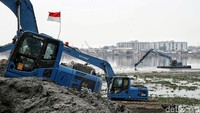 Isu terkait pendangkalan Waduk Pluit sebelumnya ramai dibahas oleh masyarakat. Gubernur DKI Jakarta Anies Baswedan pun mengakui adanya pendangkalan yang terjadi di Waduk Pluit karena disengaja.