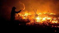 Petugas pemadam kebakaran berjibaku memadamkan api yang mulai membakar hutan Amazon di kawasan Bolivia. Stringer via Reuters.