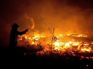 Kebakaran Hutan di Bolivia Meluas, 5 Warga Dilaporkan Tewas
