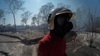 Hutan yang berada di kawasan Santa Rosa de Tucavaca, Bolivia, turut terbakar imbas dari kebakaran hutan Amazon. David Mercado/Reuters.