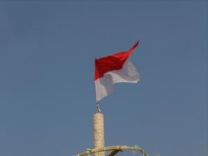 Panjat Pinang Bukan Panjat Sosial