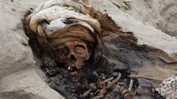 Anak-anak itu dibunuh saat dikorbankan secara massal untuk dewa Chimu pada abad ke-13 hingga abad ke-15 silam. Ini diyakini sebagai pengorbanan anak massal yang terbesar dalam sejarah. (Foto: AFP)