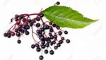 Ini 10 Jenis Buah Berry yang Asam Segar Kaya Nutrisi