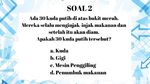 Bisa Jawab Benar Semua Berarti Jenius, Kamu Termasuk?