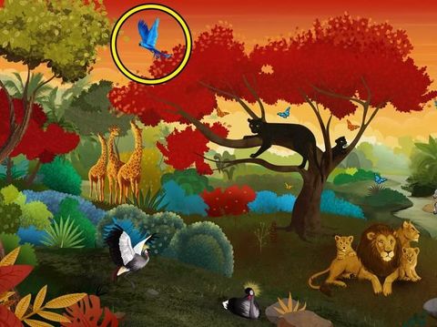 Tes Kepribadian: Hewan Pertama yang Kamu Lihat Ungkap Keresahanmu Saat Ini