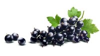 Buah ini banyak dijadikan sebagai rasa pada aneka minuman. Rasanya segar mirip seperti anggur. Namun, buah in bernama black currant. Foto: iStock