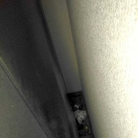 Seorang tamu hotel mencium bau kotoran saat akan mengambil es batu di mesin. Setelah dicari-cari, ternyata ada popok bayi yang sudah busuk terselip di antara mesin es batu dan tembok. Foto: Dok. BoredPanda