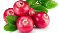 Bulat, mungil dan berwarna merah terang. Ini jenis bua berry yang diketahui bernama cranberry. Foto: iStock