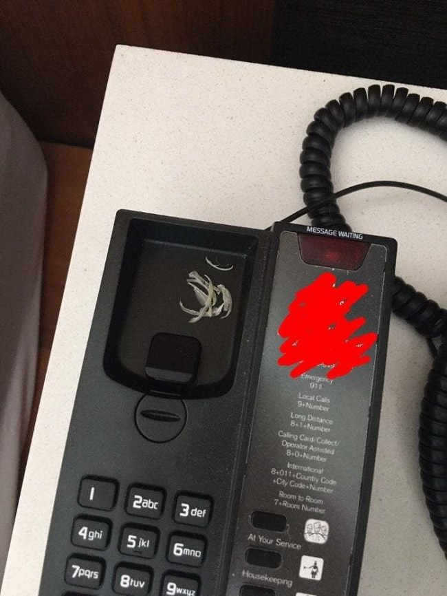 Ulah tamu hotel yang jorok. Meninggalkan kuku bekas guntingan clipper di atas telepon. Kuku bisa saja menyimpan bakteri dan berpindah ke telinga orang lain saat telepon digunakan. Jangan pernah ditiru ya! Foto: Dok. BoredPanda
