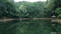 Danau Rowo Bayu terletak terletak di sekitar sumber air dan petilasan Prabu Tawang Alun yang menjadi tempat yang dikeramatkan. Ini juga jadi lokasi perang puputan rakyat Banyuwangi melawan penjajah Belanda (Ardian Fanani/detikcom)