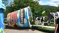 Jika sedang berada di Vermont, sebaiknya mampir ke pabrik es krim Ben & Jerrys yang ternama. Di sini bisa mencoba berbagai rasa es krim yang enak, hingga cara membuat es krim. Foto: Istimewa