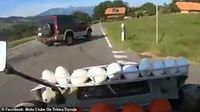 Waduh! Pemotor Ini Lempar Telur dan Tomat ke Mobil yang Menghalanginya