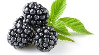 Berwarna hitam dengan bentuk menyerupai anggur mungil ini bernama blackberry. Warna hitam menandakan buahnya sudah matang. Foto: iStock