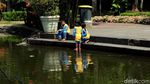 Menikmati Asrinya Taman Spathodea di Jagakarsa