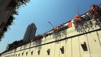 Underpass pun terlihat sangat asri dengan beberapa tanaman.