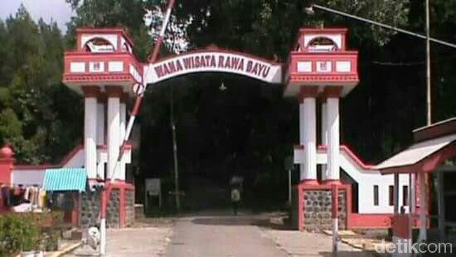 Kades di Banyuwangi Pastikan Desanya Tak Pernah Jadi Lokasi KKN