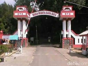 Kades di Banyuwangi Pastikan Desanya Tak Pernah Jadi Lokasi KKN