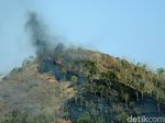 1,5 Hektare Hutan Gunung Kebo di Trenggalek Hangus Terbakar
