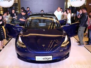 Kemunculan Mobil Listrik Murah Tak Ganggu Pasar Tesla di Indonesia