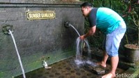 Meski disebut bukan lokasi cerita KKN di Desa Penari, banyak juga kejadian mistis terkadang muncul di Rowo Bayu. Wewangian muncul pada bulan-bulan dan hari-hari tertentu. (Ardian Fanani/detikcom)