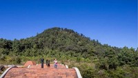 Bahkan, atap rumah ini juga dibuat dari batu bata, yang dibentuk dengan model kubah. Istimewa/Dok. Inhabitat.