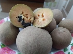 Sawo Organik Blora Dilirik Negeri Paman Sam