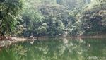 Foto Nuansa Mistis Rowo Bayu di Banyuwangi