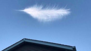 Ini hanyalah sebuah awan yang mirip dengan bulu. (Foto: Brightside)