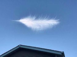 Kumpulan Foto yang Mengecoh Pada Pandangan Pertama