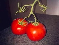 Kumpulan Foto yang Mengecoh Pada Pandangan Pertama