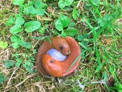 Kumpulan Foto yang Mengecoh Pada Pandangan Pertama