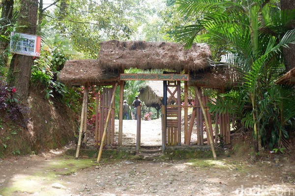 Daerah ini sekarang menjadi Wana Wisata Rowo Bayu. Dulunya pada 18 Desember 1771 ada perang antara warga Blambangan melawan penjajah Belanda yang menyengsarakan rakyat (Ardian Fanani/detikTravel) Daerah ini sekarang menjadi Wana Wisata Rowo Bayu. Dulunya pada 18 Desember 1771 ada perang antara warga Blambangan melawan penjajah Belanda yang menyengsarakan rakyat (Ardian Fanani/detikTravel)