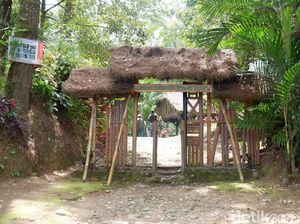 Rowo Bayu, Destinasi Wisata yang Katanya Mirip Desa Penari