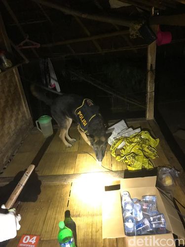 Polisi olah TKP pemerkosaan warga Baduy Luar (Dok ist)