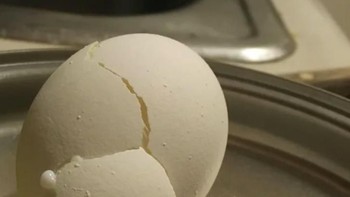 Telur pecah dan berubah menjadi mirip siput. (Foto: Brightside)