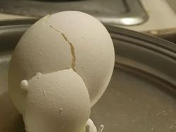 Kumpulan Foto yang Mengecoh Pada Pandangan Pertama