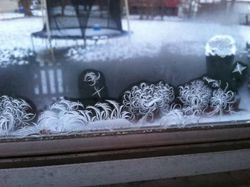 Kumpulan Foto yang Mengecoh Pada Pandangan Pertama