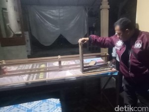 Gagal Tagih Angsuran, Dua Pegawai Koperasi Ini Curi Burung Nasabah